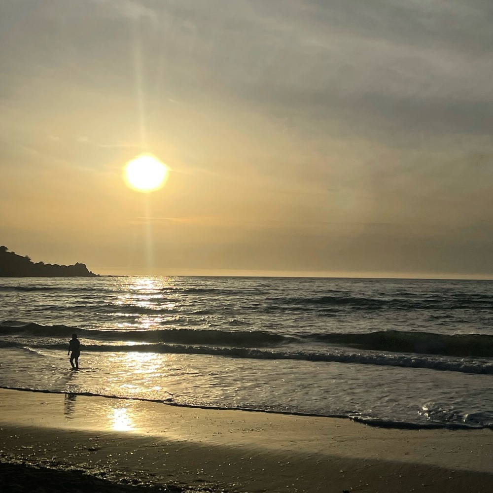 meet your posher, lannie! (lay-nee)